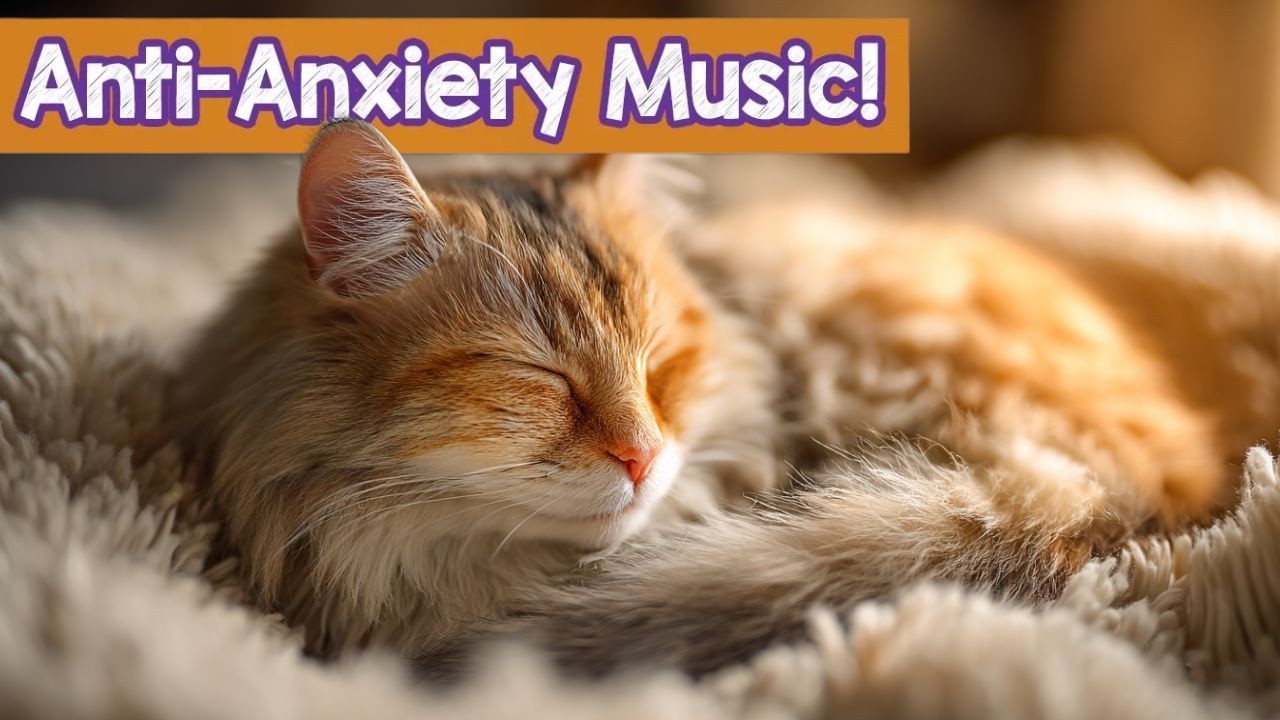 Calming Music for Cats | Soothing Sounds for Relaxation, Sleep & Anxiety Relief