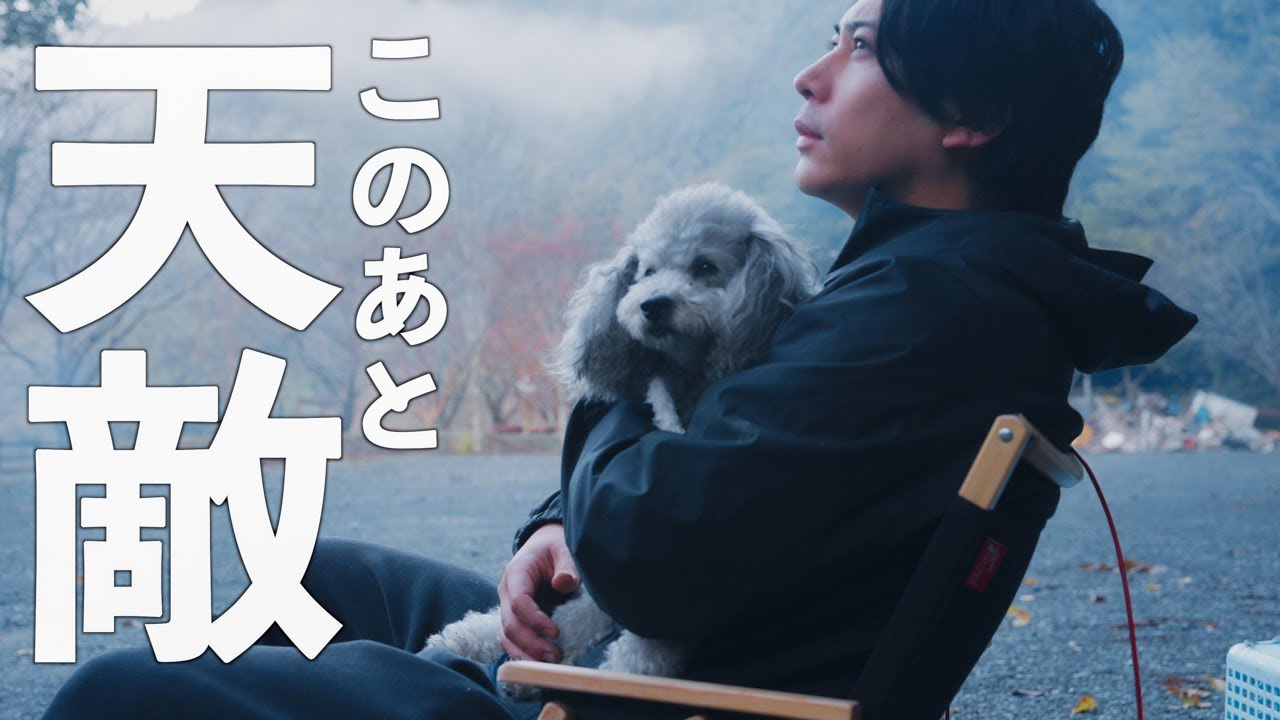 🐶【車旅#END】愛犬と誰もいない森でキャンプしたら野生動物が群れでやってきた・・・