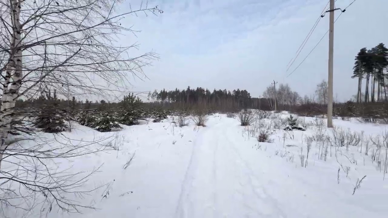 #липецк2026 Силикатные Озёра VLOG-Прогулка. Красивое место для отдыха