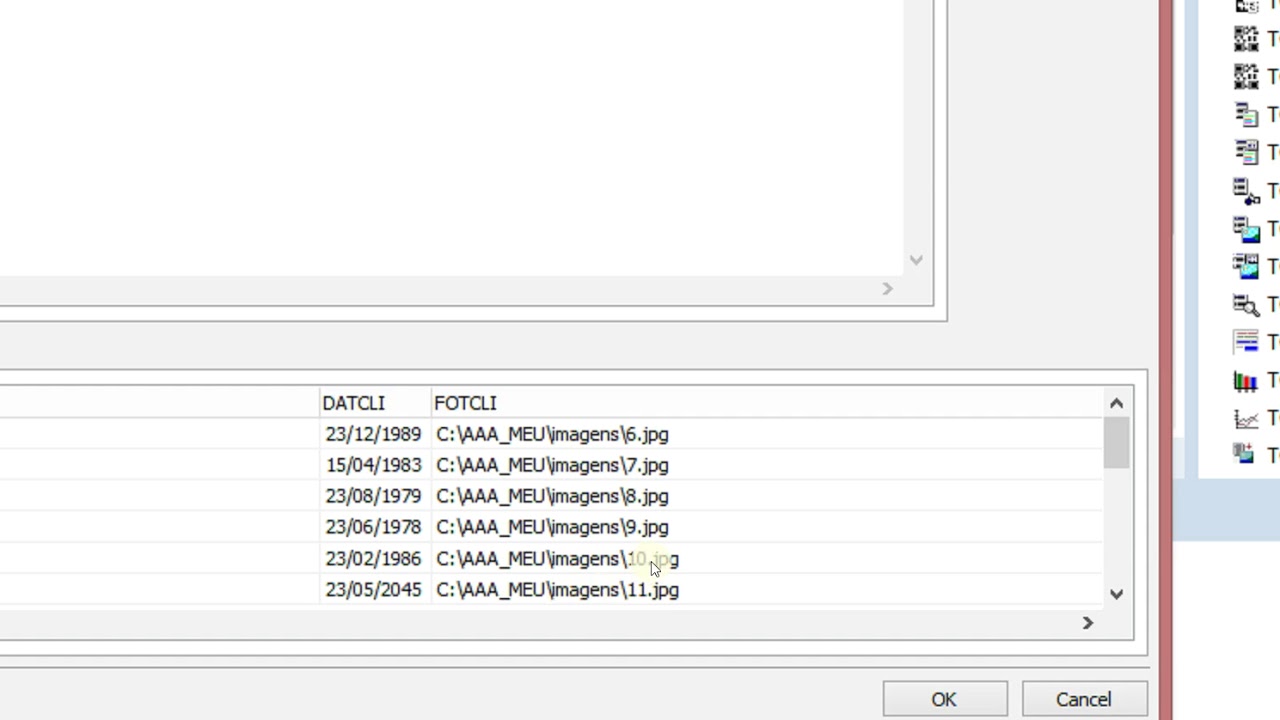 Carregar imagens no Qreport - Campo Tipo Varchar - Delphi 10.3