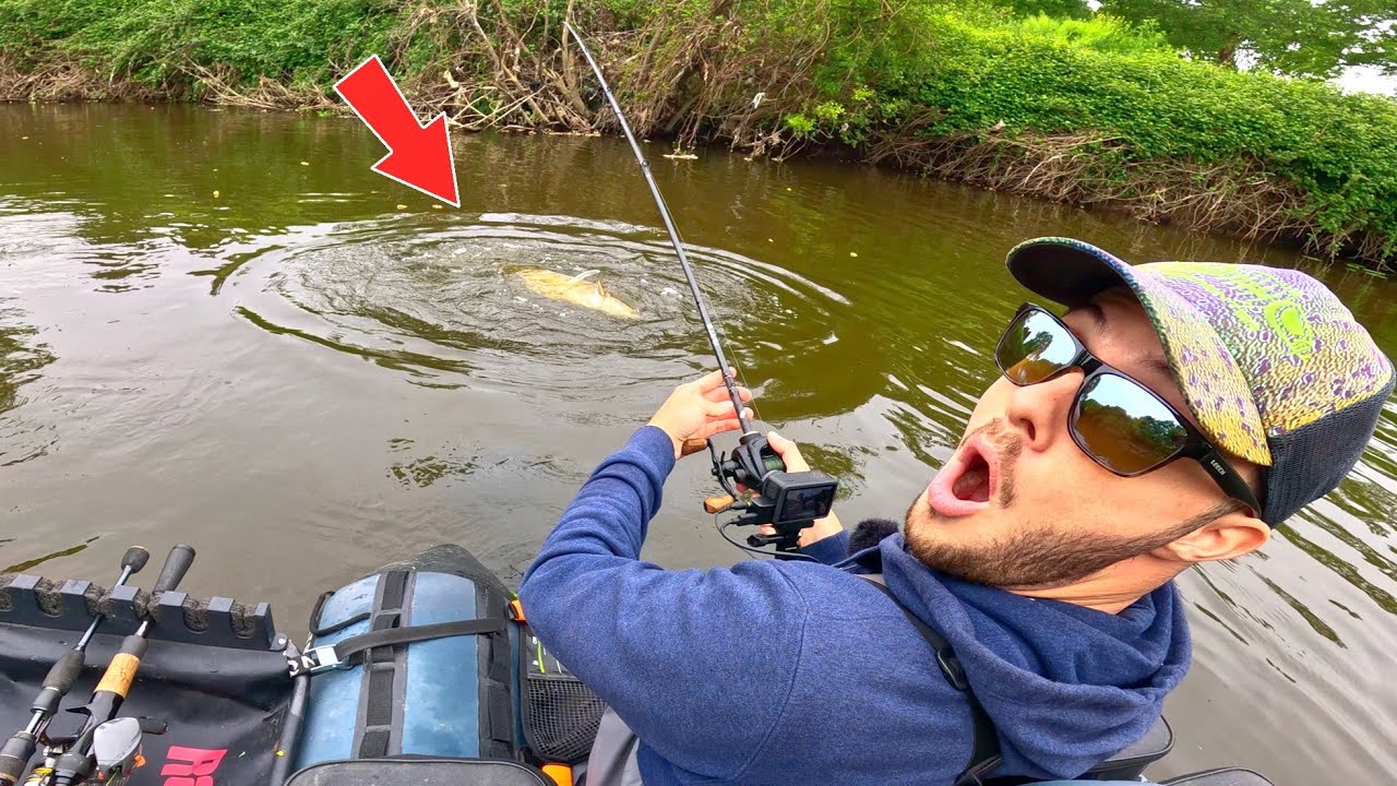 Ces spots mystérieux cachent toujours de grosses surprises !! (Pêche au leurre en petite rivière)