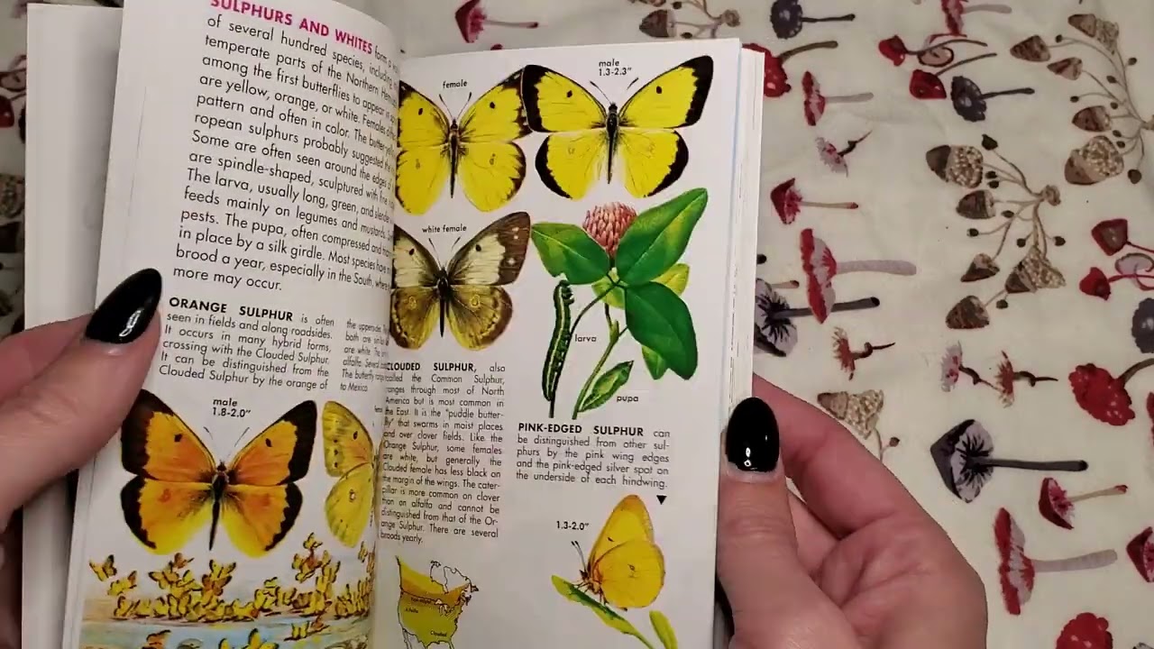Book Haul! Vintage bird and botanical books! Book Review