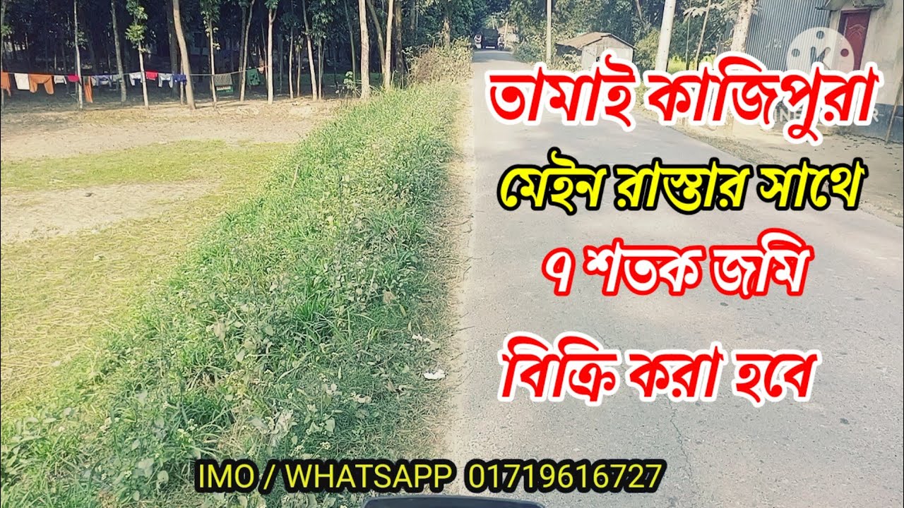 তামাই কাজিপুরার উত্তরে রাস্তার সাথে ৭ শতক জমি বিক্রি করা হবে | বেলকুচি তামাই