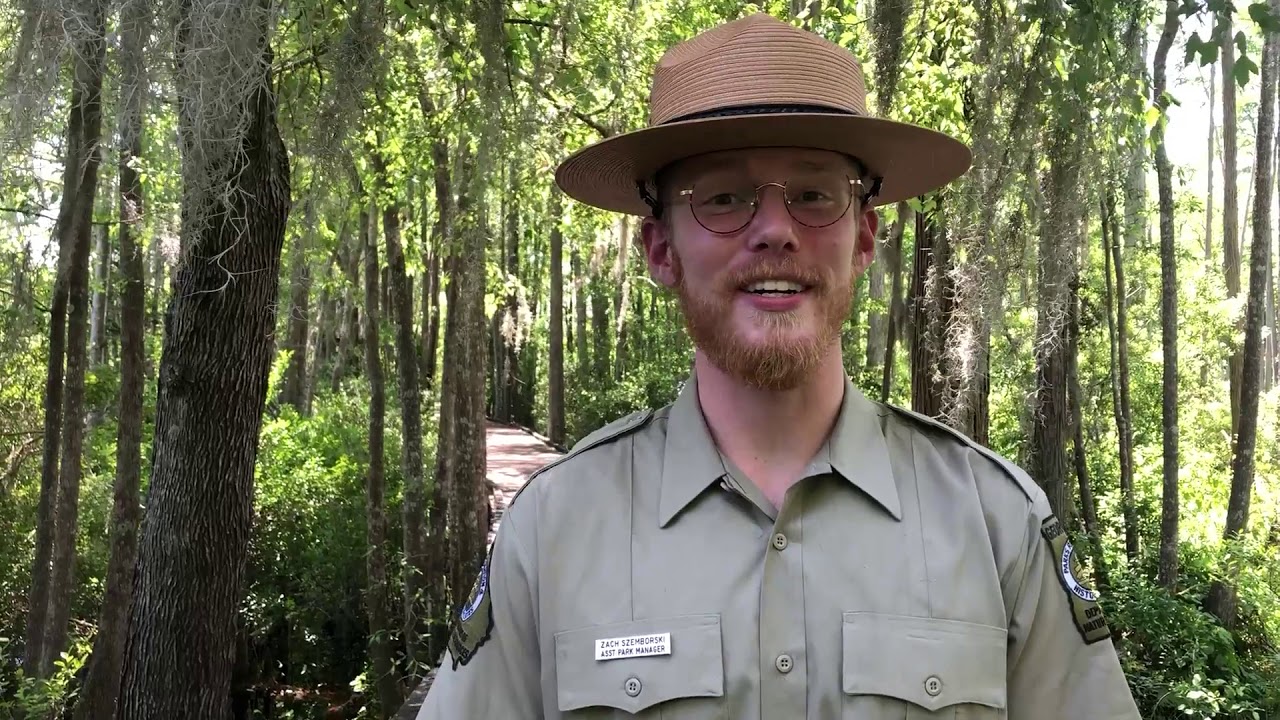 eRanger: Spanish Moss - Stephen C. Foster