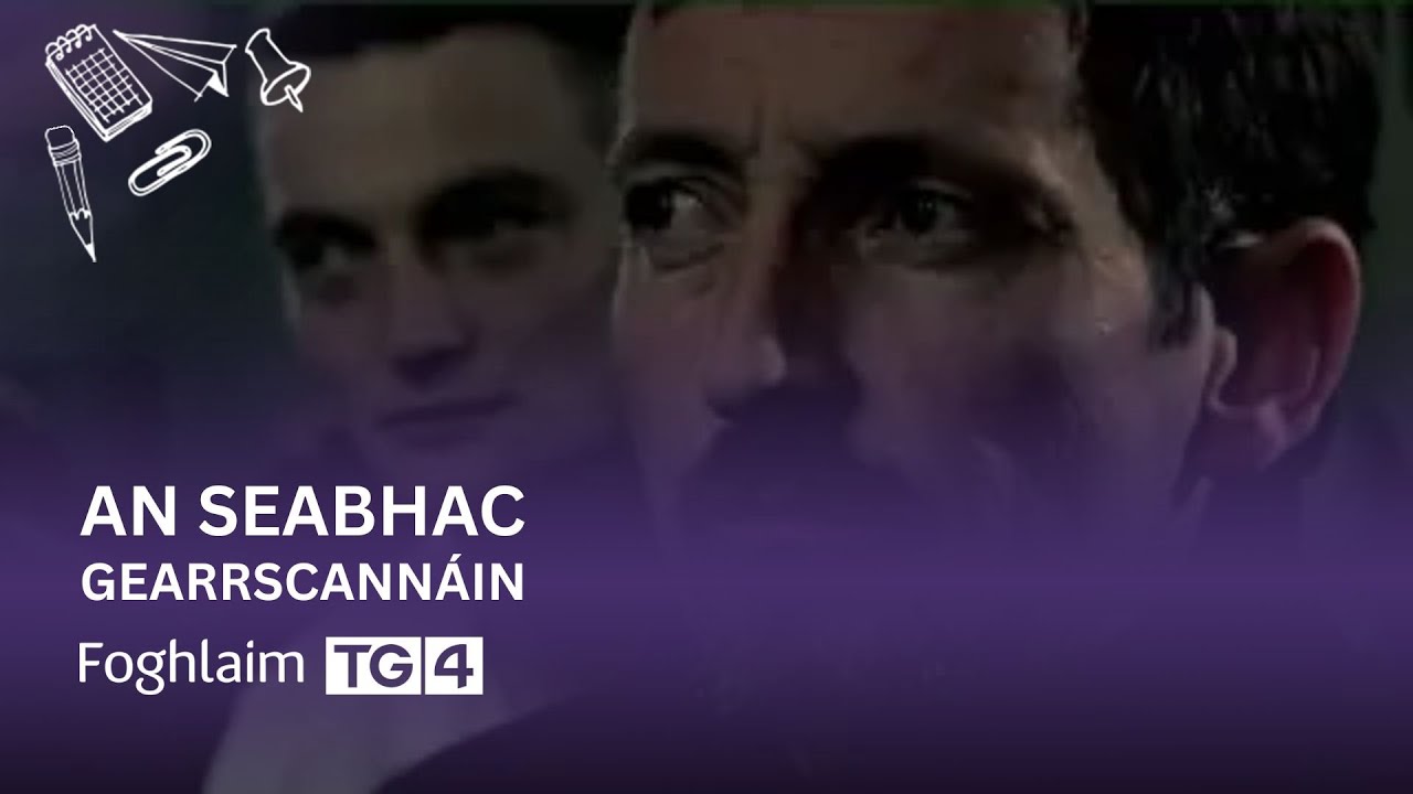 An Seabhac