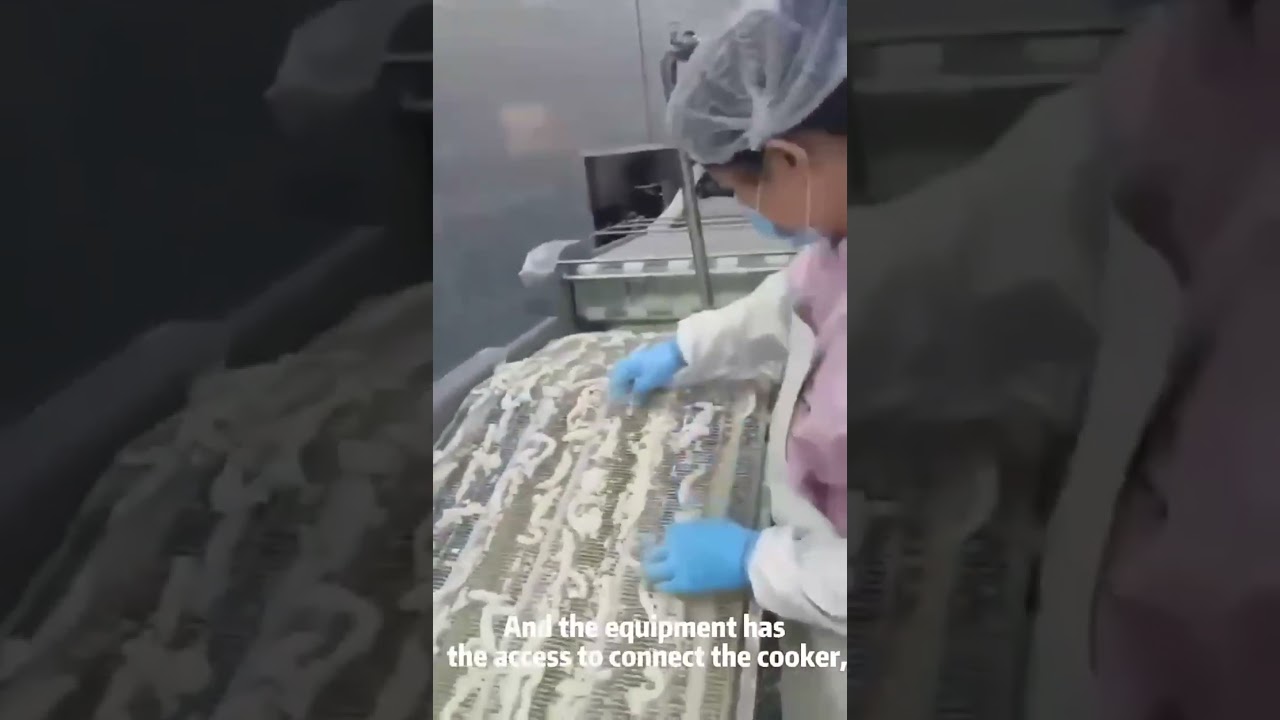 Food coating processing line