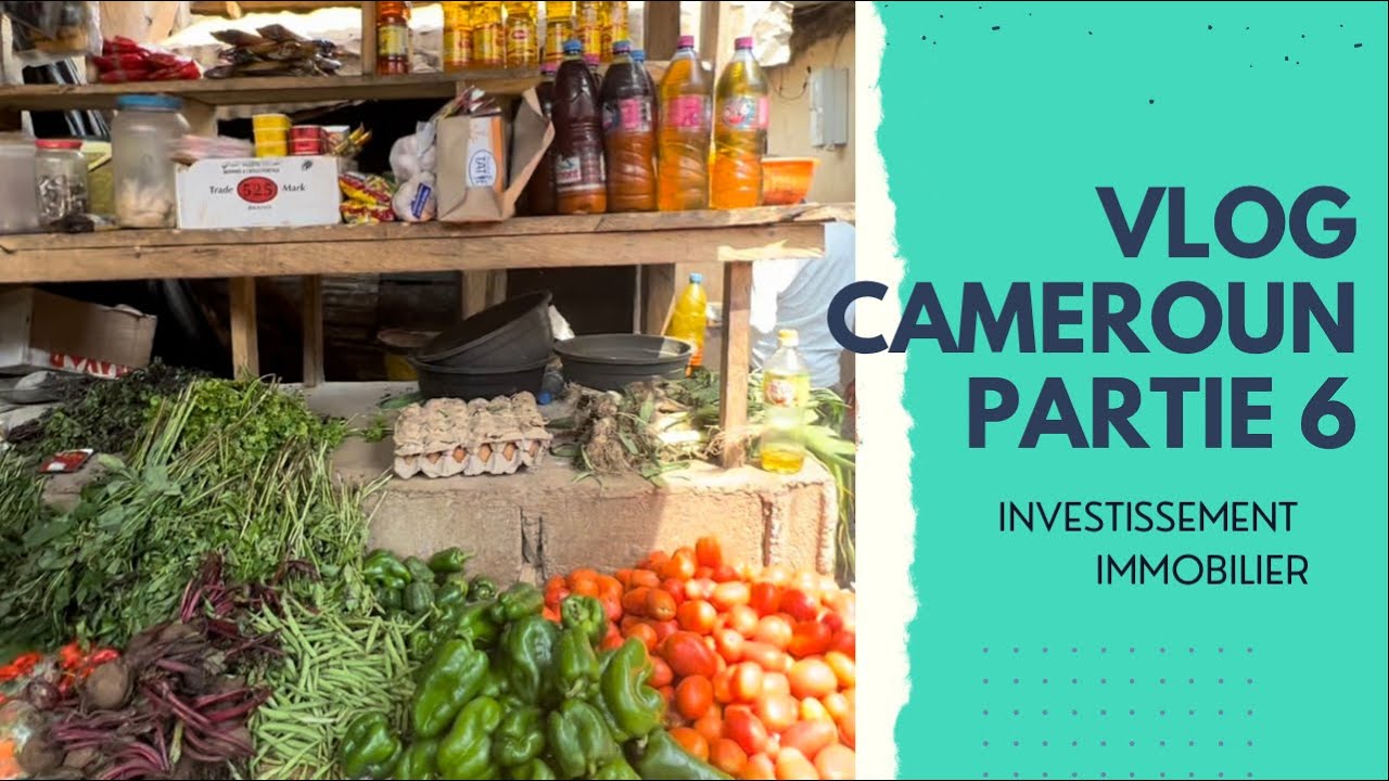 Vlog Cameroun Partie 6: investissement Immobilier au pays
