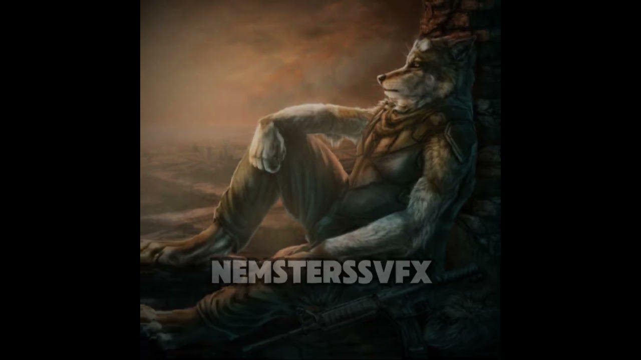 i am the alpha wolf 🐺🌕