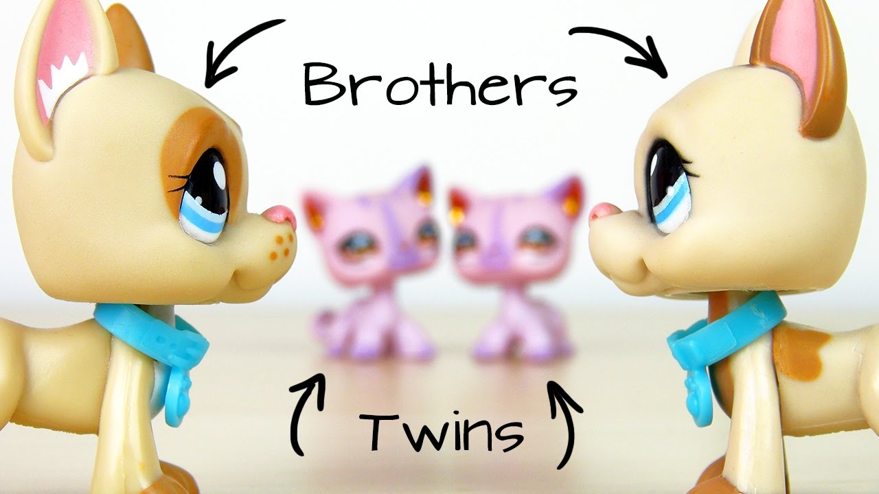 LPS: Together With a Twin?