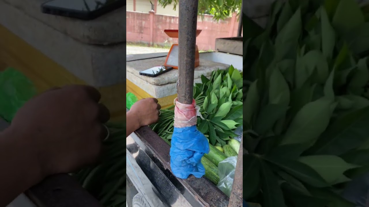 Belanja mingguan sayur dan lauk pauk 