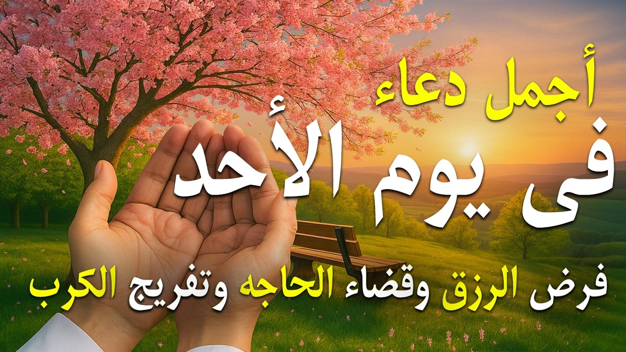 دعاء فى يوم الأربعاء المستجاب دعاء يوم 16 من شهر شعبان للرزق والشفاء العاجل وقضاء الحوائج 🤲(4k)