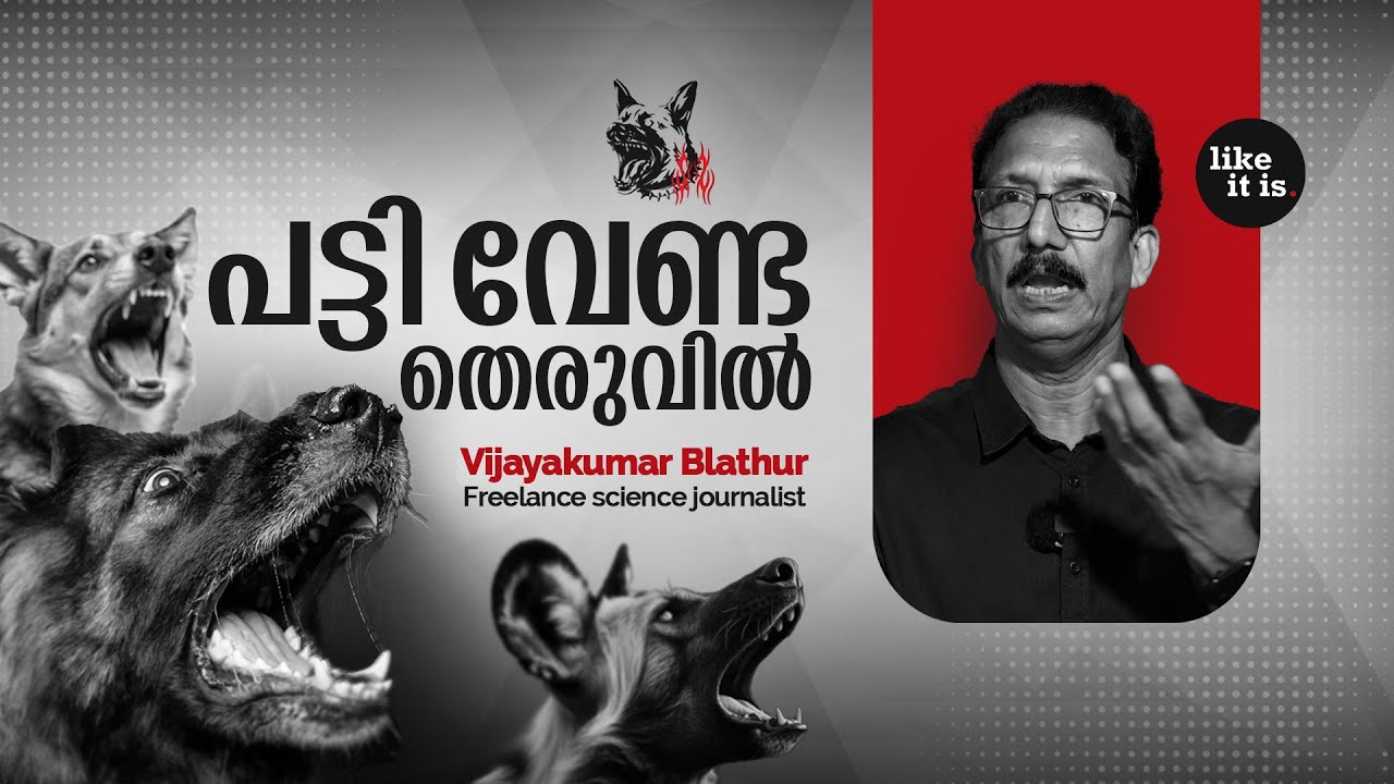 നായ ഒരു വന്യ ജീവിയല്ല.. അതിനെ നമുക്ക് നിയന്ത്രിക്കാൻ പറ്റണം. Vijayakumar Blathur | Like it is
