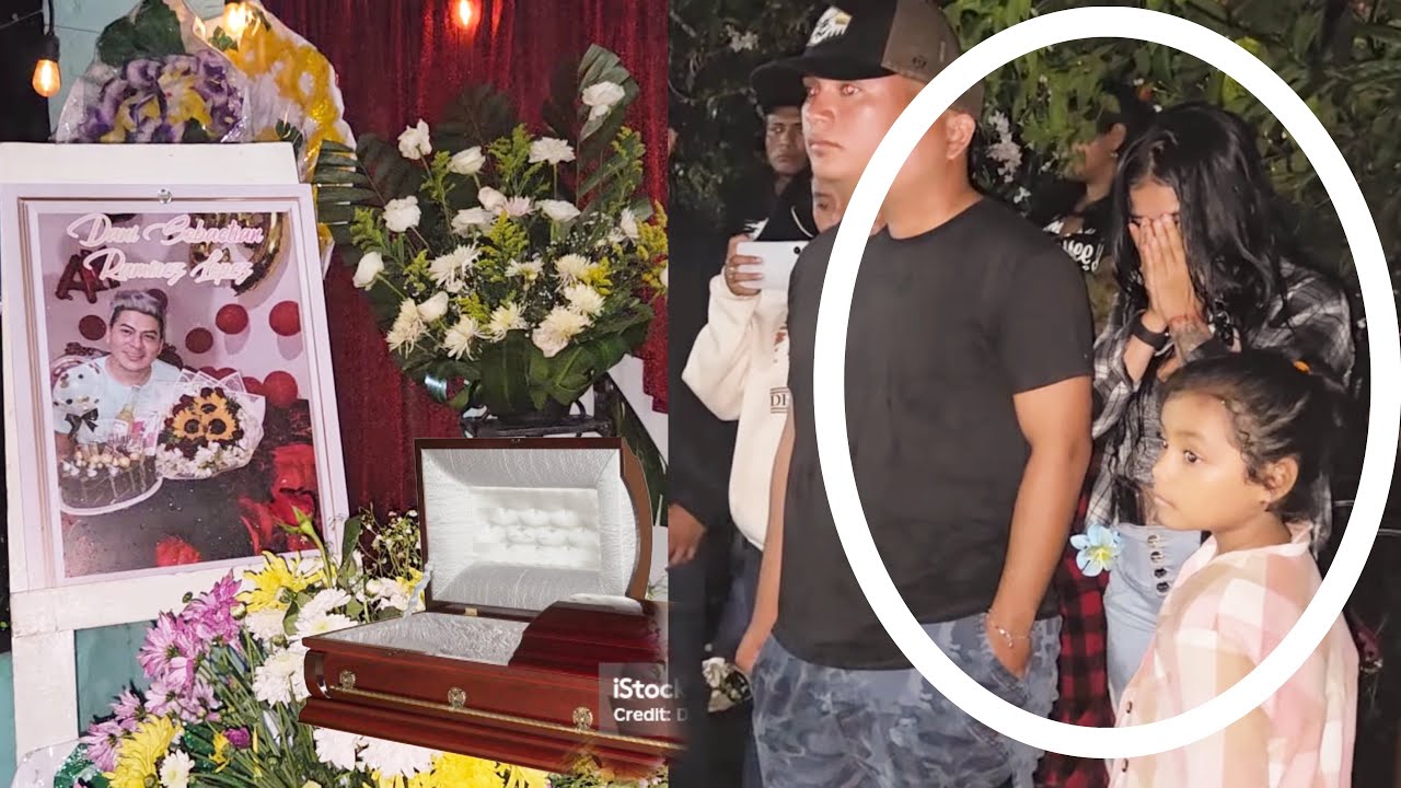 PAULOBA No Pude Evitar Ver Entrar A Lobito Así: Corre Habrir La Caj4 Para Verlo😭