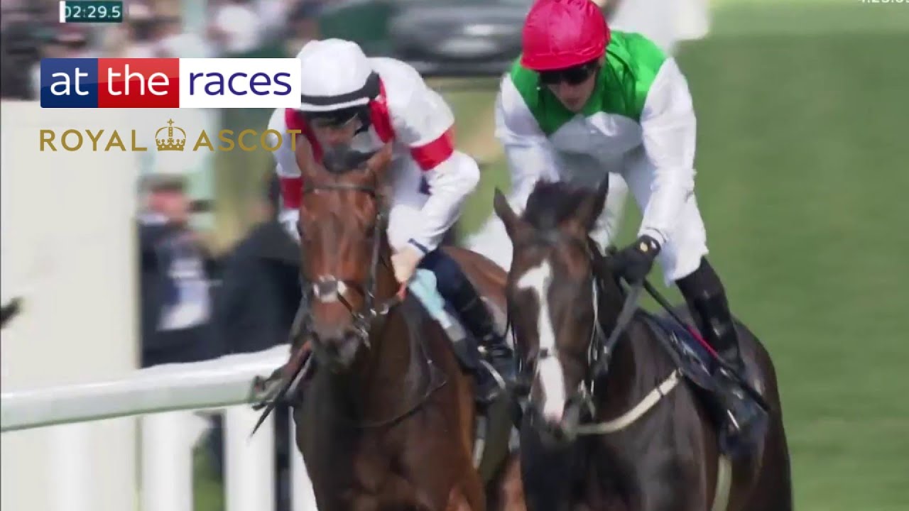 PYLEDRIVER back with a bang as he lands the Hardwicke!
