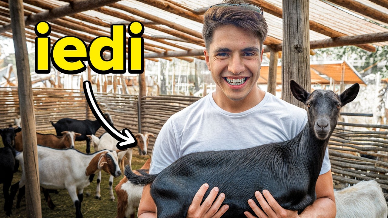 Mi-am Luat Capră