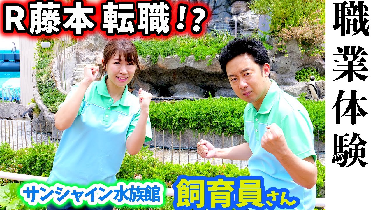 R藤本×桜 稲垣早希 転職を決意！？水族館の飼育員になる…【GuuGoo】