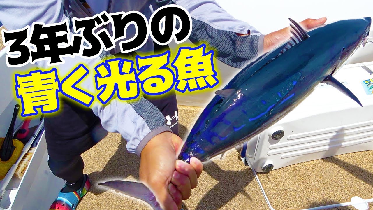 ３年ぶりに念願のカツオ釣りに行ってきた！！