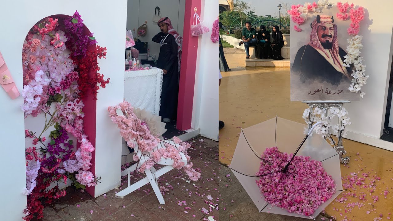 مهرجان الورد بمنتزه الردف بالطائف 🌸💐الاستمتاع بجمال الطبيعة ، قمة في الروعة والبهجة🌺🌹