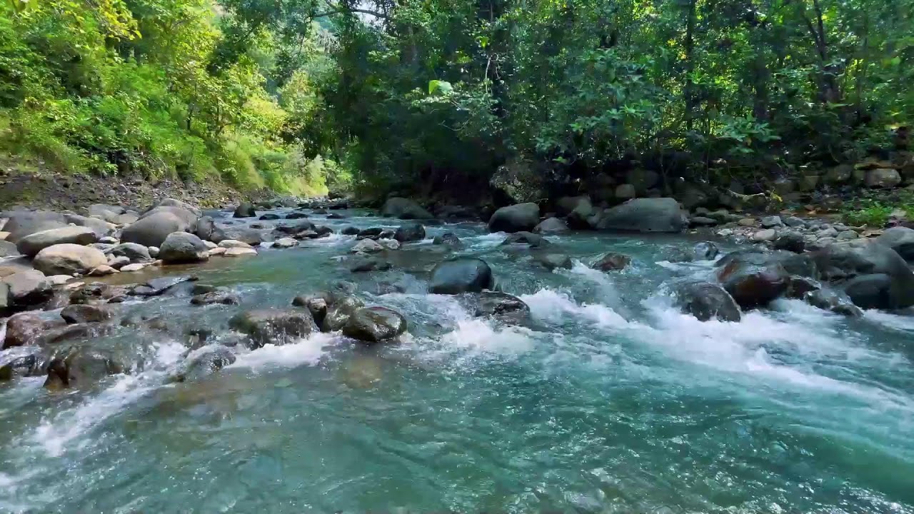 Relaxing River Sounds for Focus, Studying & A Peaceful Home 🌿 Relaxing Sleep Calming Anxiety