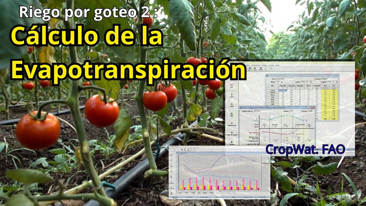 Riego por goteo 2: Cálculo de la Evapotranspiración. Método FAO.