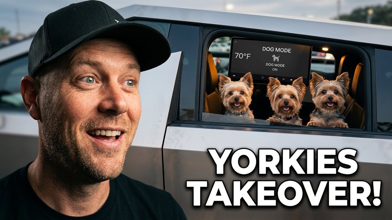 Cybertruck Dog Mode: 3Yorkies (Neo, Tesla & Elon)Draw a Huge Crowd