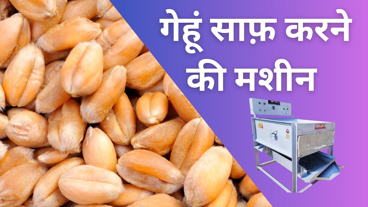 Soya Cleaning Machine, Seed Cleaning Machine, Grader |  गेहूं साफ करने की मशीन #wheatcleaningmachine