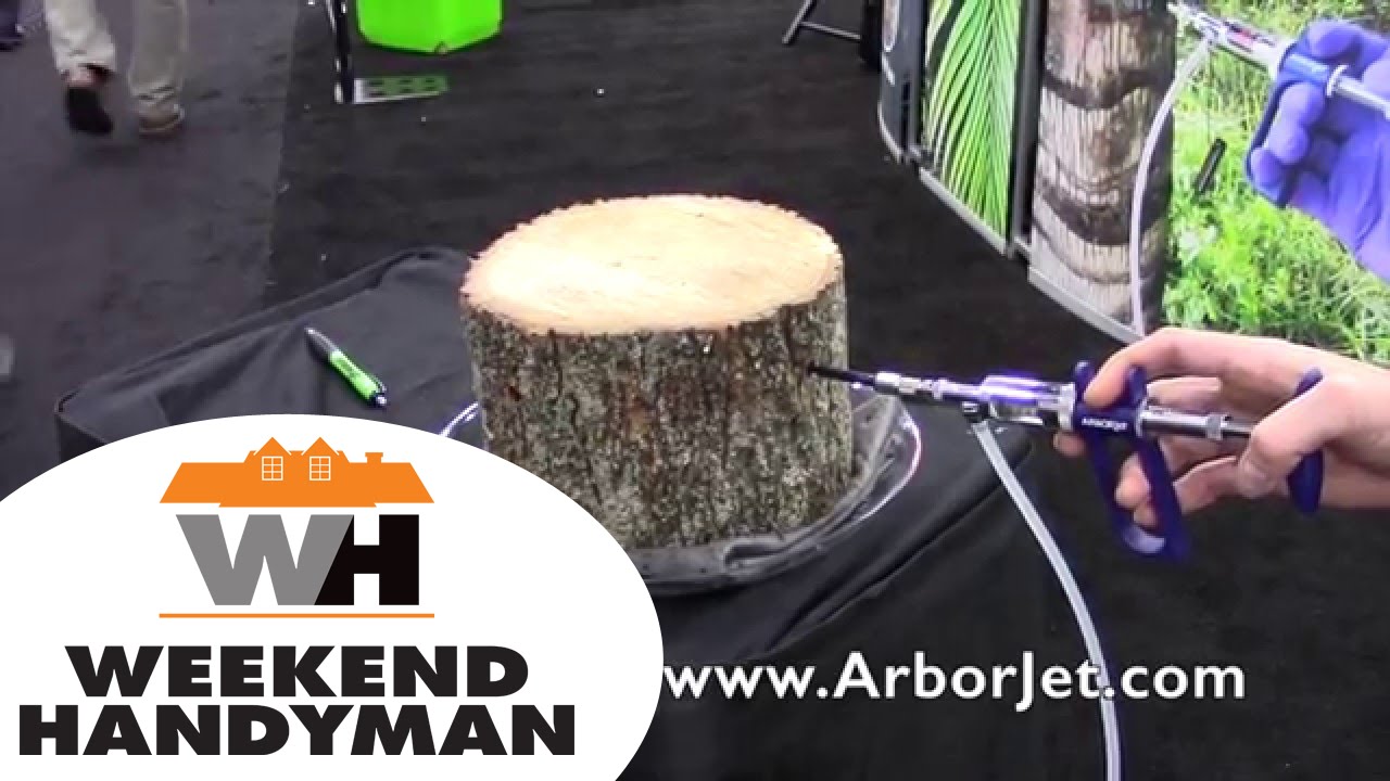 Arbor Jet Trunk Injection Technology | Weekend Handyman | #ArborJet