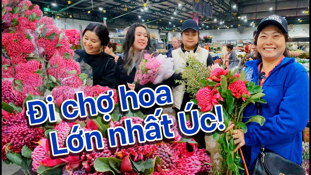Đi Chợ Hoa Lớn Nhất Úc - Sydney Market Flemington | Cuộc Sống Úc