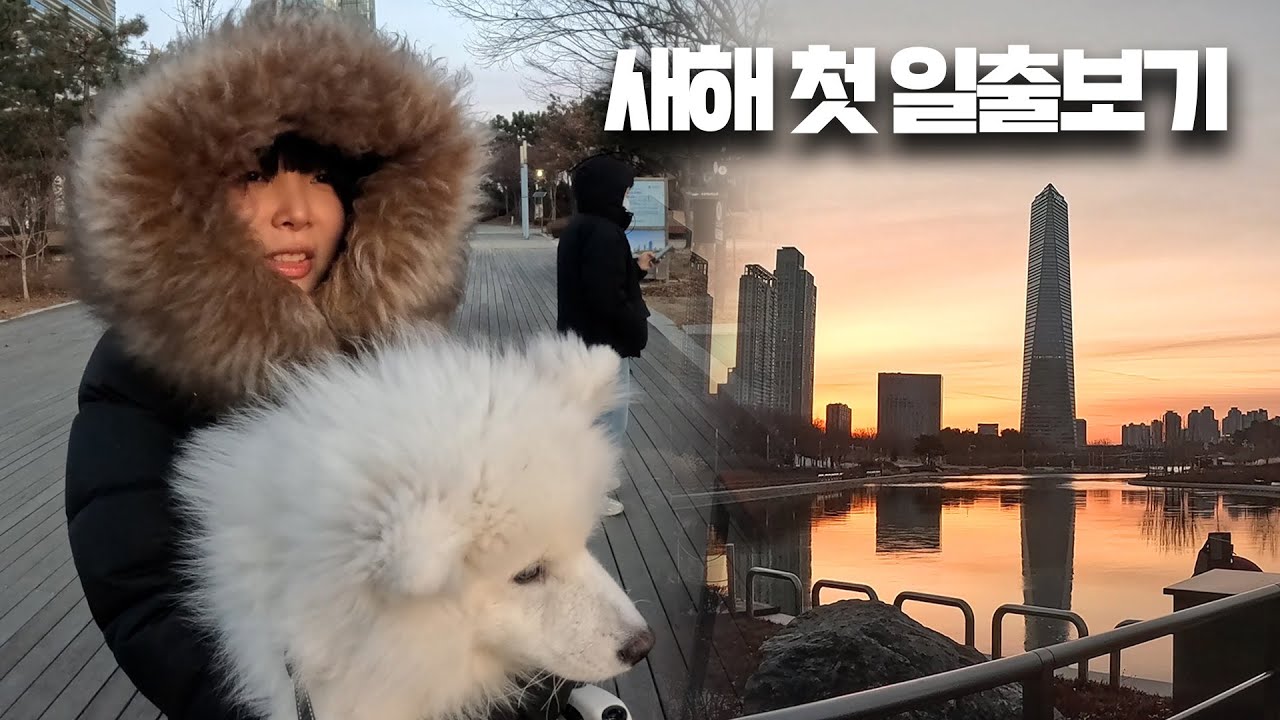새해 첫 날 일출보고 왔습니다