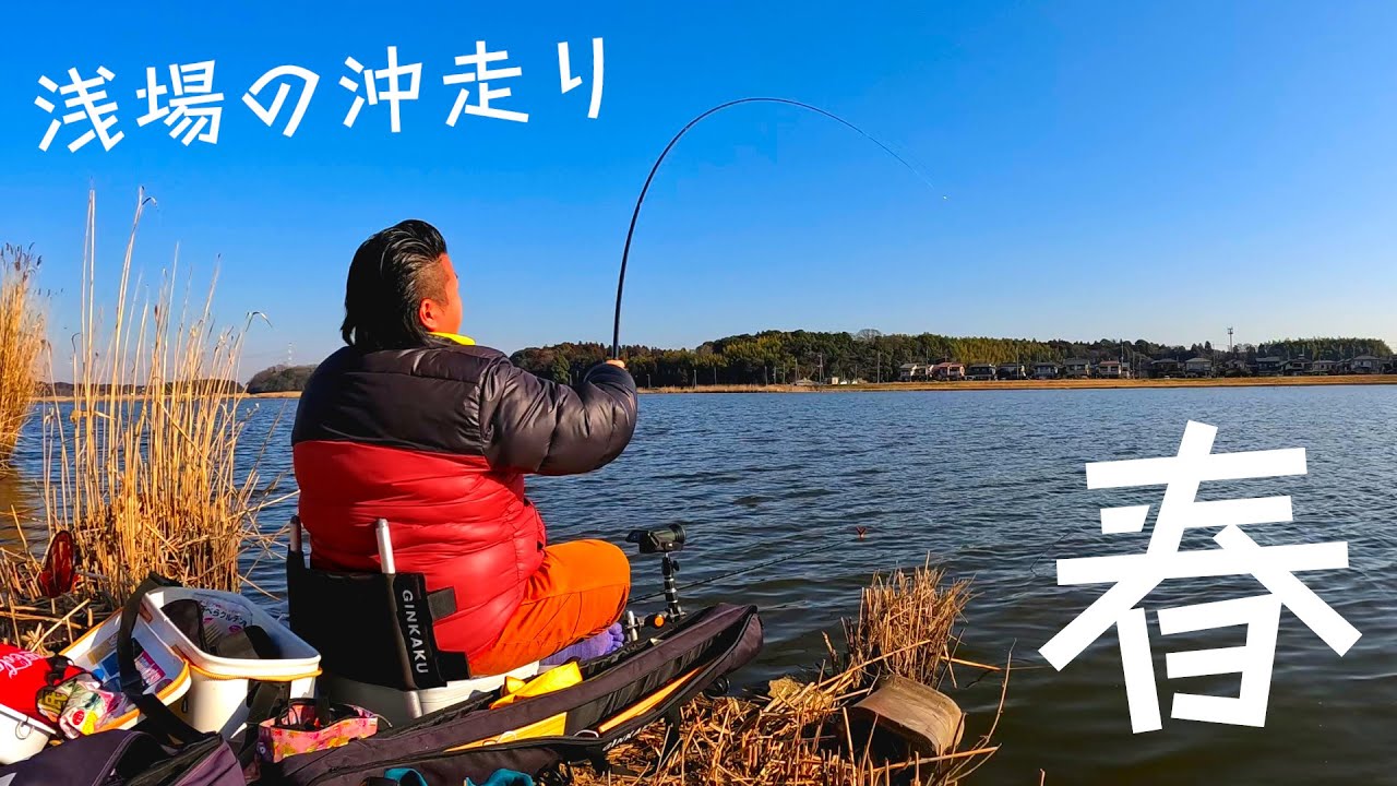 浅場のドボンでへらぶなを釣るのが最高に楽しい！