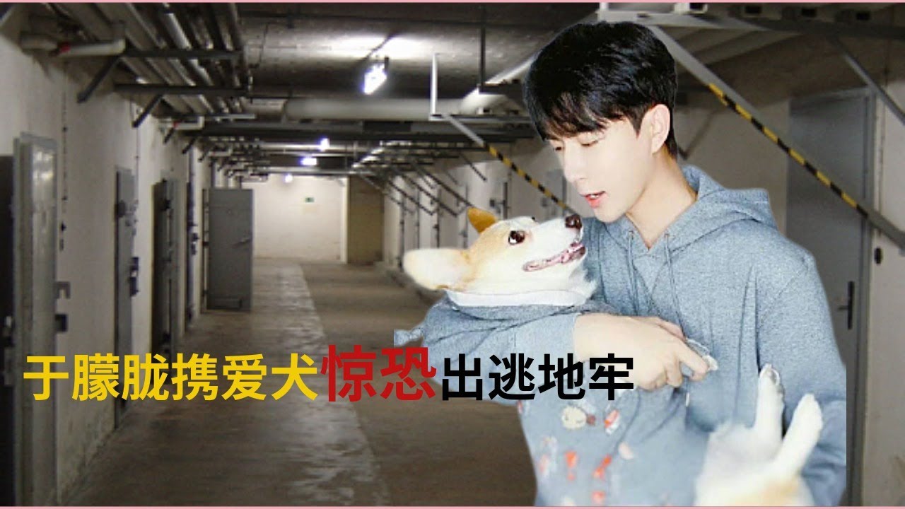 于朦胧携爱犬惊恐出逃地牢/狗狗福丽被恶魔从高楼抛下#于朦胧 #truecrime