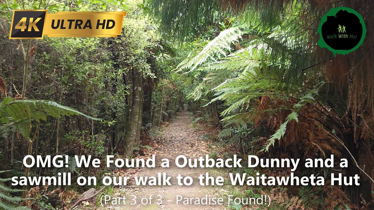 Relaxing Forest walk and Nature Sounds to the Waitawheta Hut, New Zealand.  #nature #forest #walking