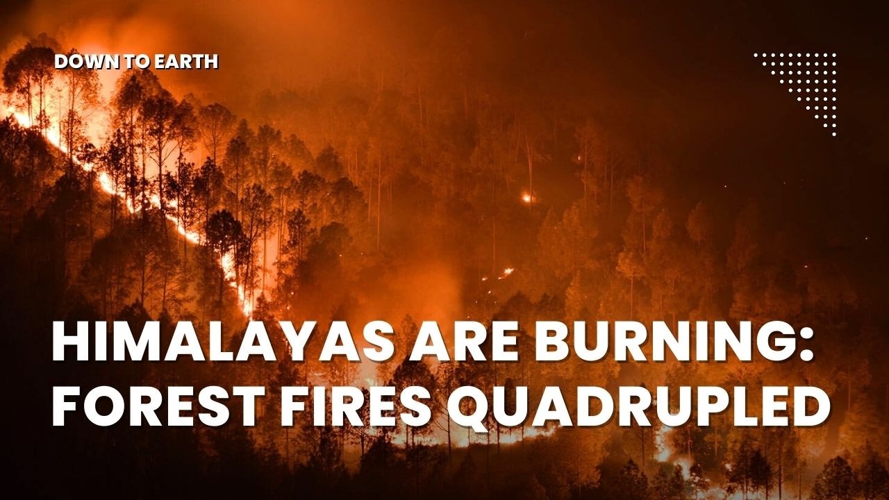 Fire in the Himalayas Quadrupled: Why Forest Fires Are Climbing Higher Than Ever