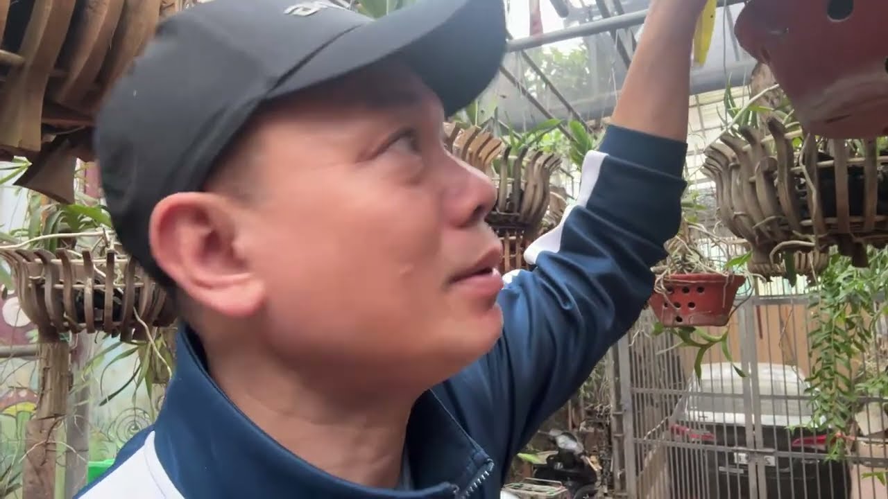 Hùng Phúc TV đang phát trực tiếp!