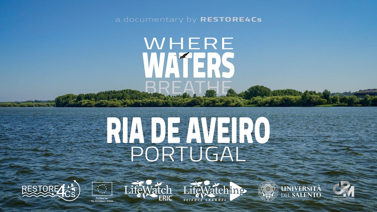 Where Waters Breathe | Ria de Aveiro - Portugal | Documentary Series