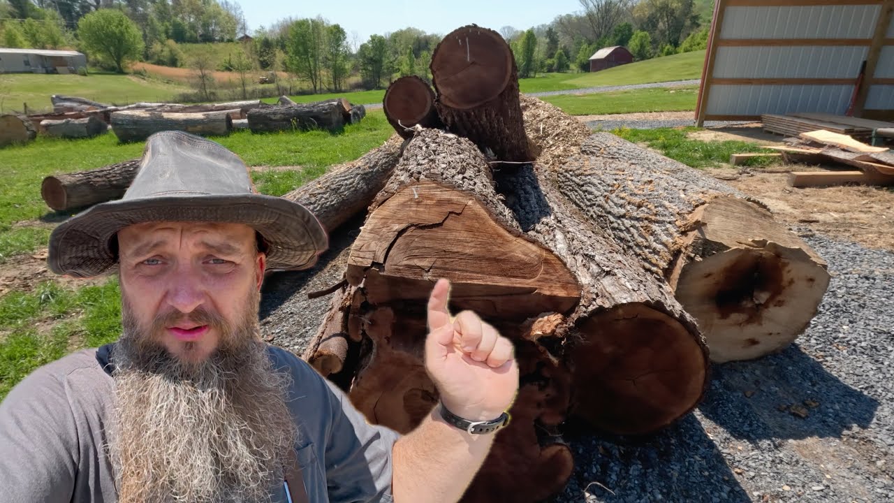 This Showed Up At My Sawmill Today