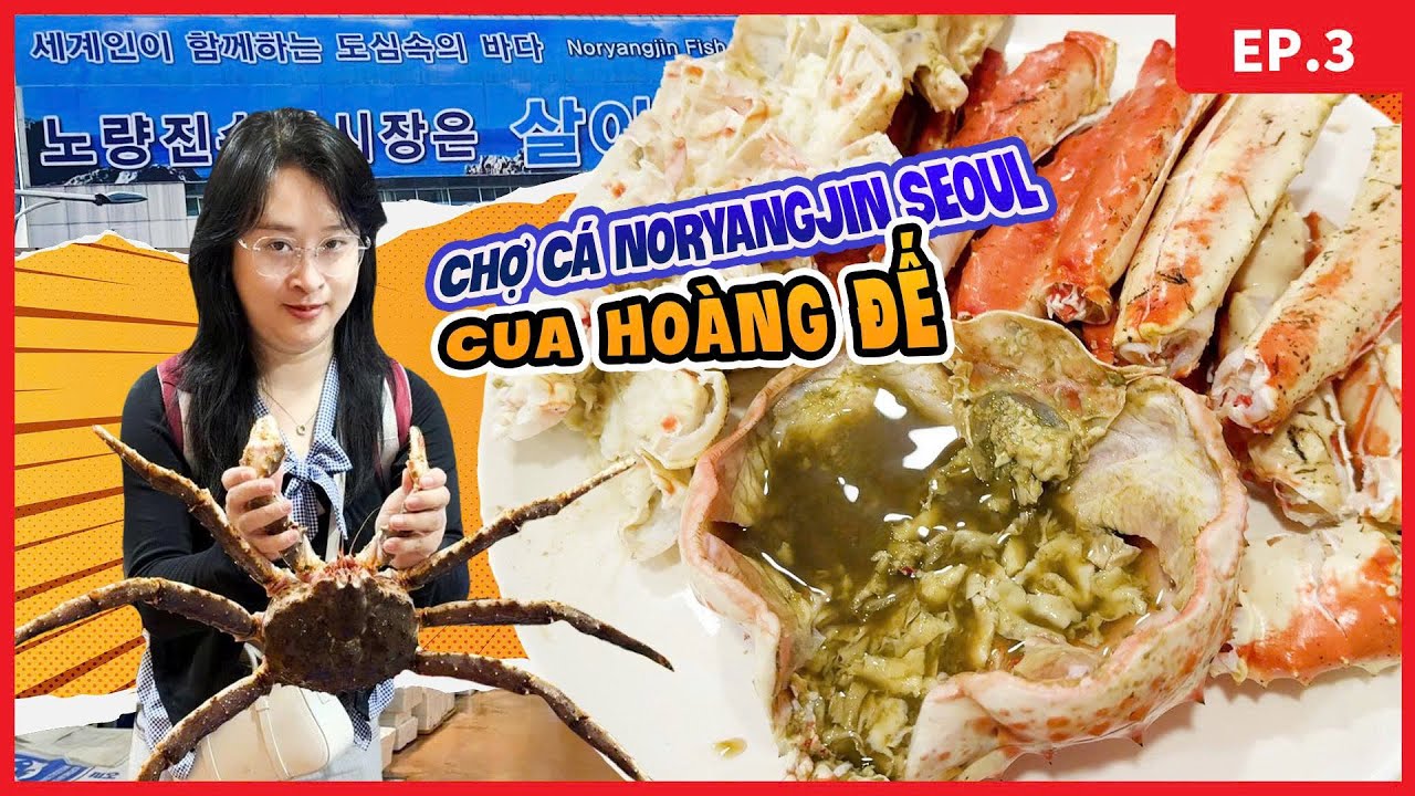 [수지푸드]Suzy Food 🇰🇷| Ăn King Crab Gần 5 Củ Ở Chợ Cá Noryangjin (노량진 수산시장 5백만동 킹크랩)