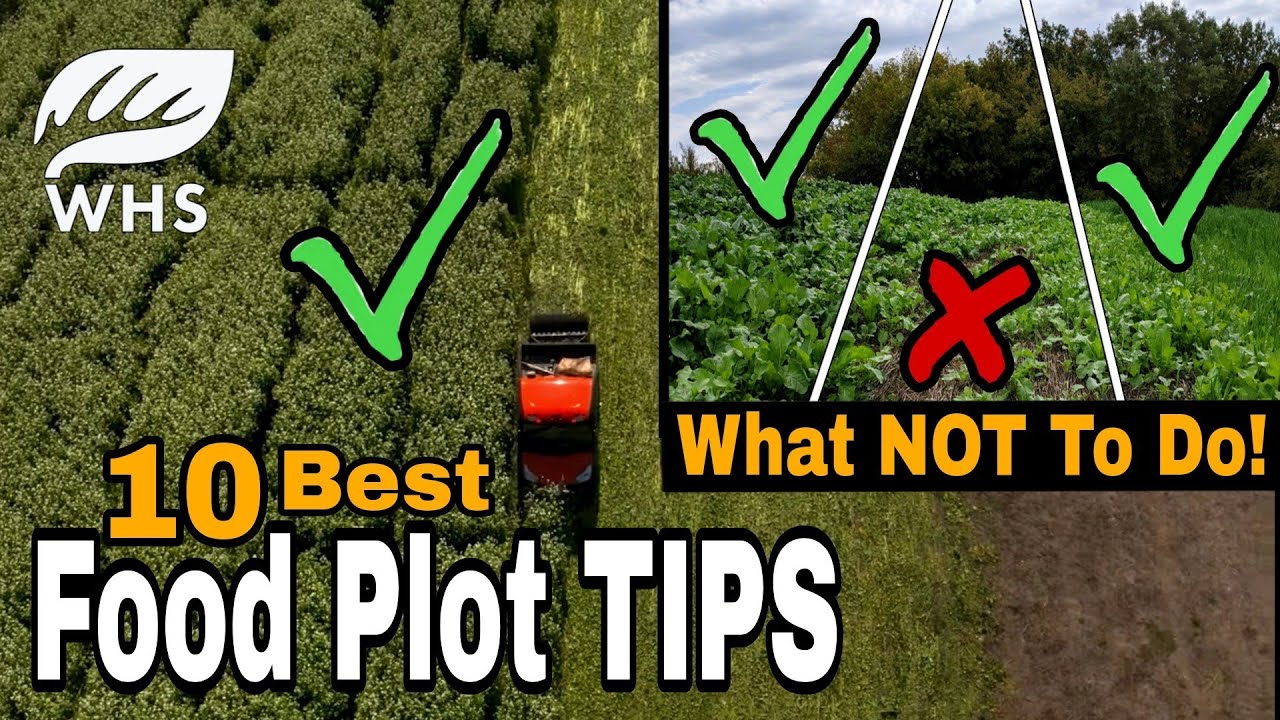 10 Critical Food Plot Planting Tips