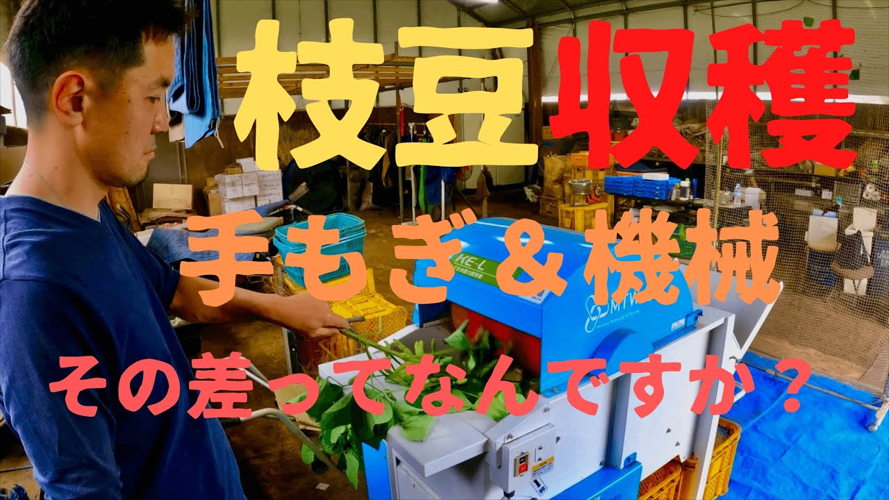 【枝豆収穫】人力と機械の違いとはなんぞや？