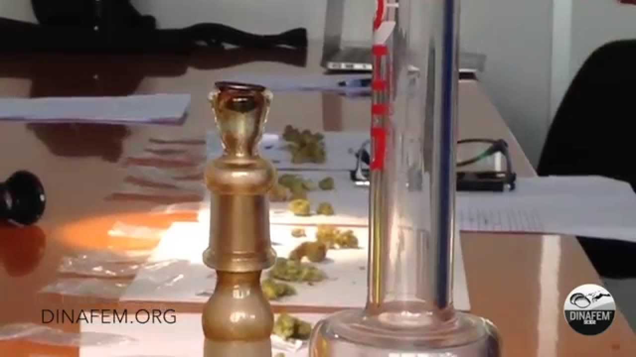 Cata de muestras de marihuana y hach&iacute;s de la copa cann&aacute;bica Expogrow
