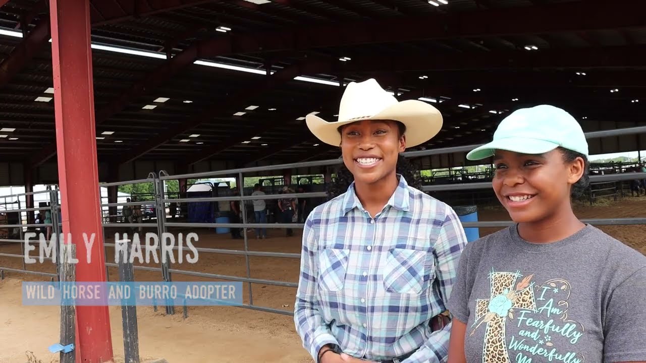 Bureau of Land Management Eastern States Adoption and Sales Event