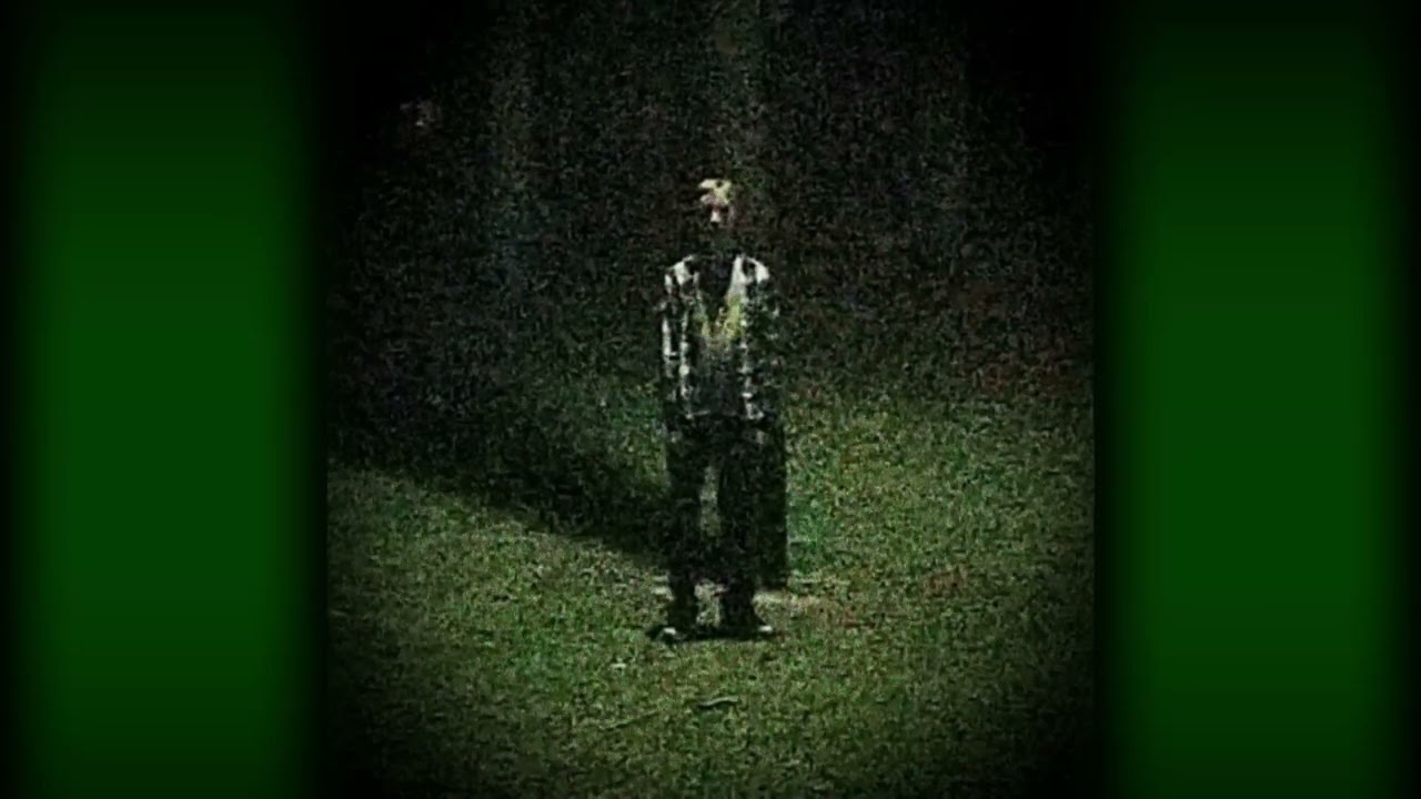 Rooty Rootz - Sunless