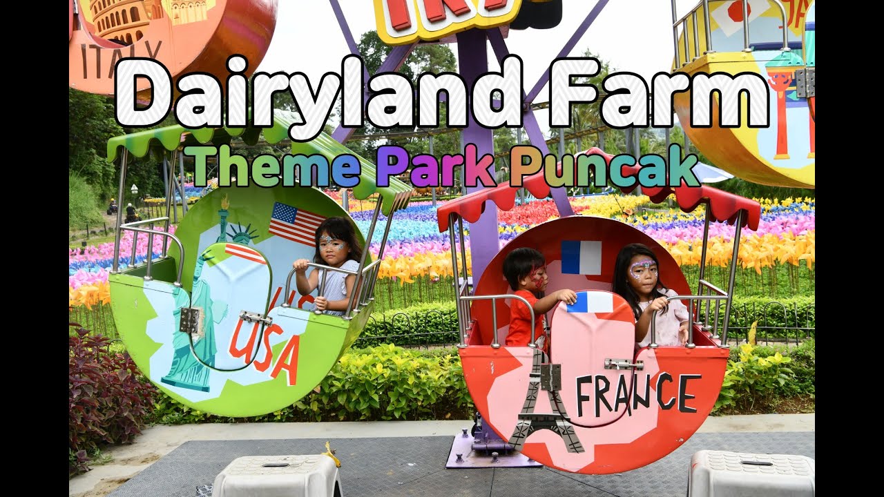 Main Sambil Belajar di Dairyland Puncak 😍