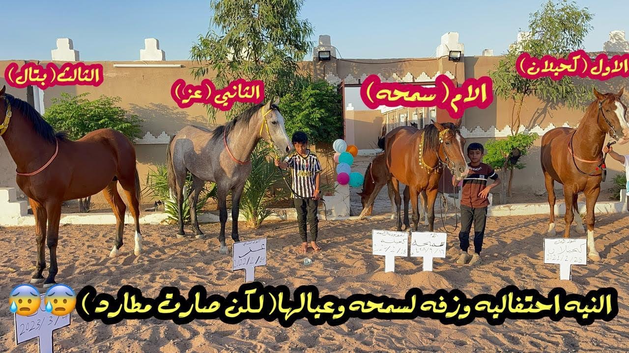 زفة سمحه محبوبة الجميع وعيالها🐎😍🎉