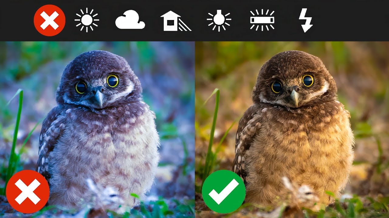 Stop Using Auto White Balance! (Get Perfect Color Every Time)
