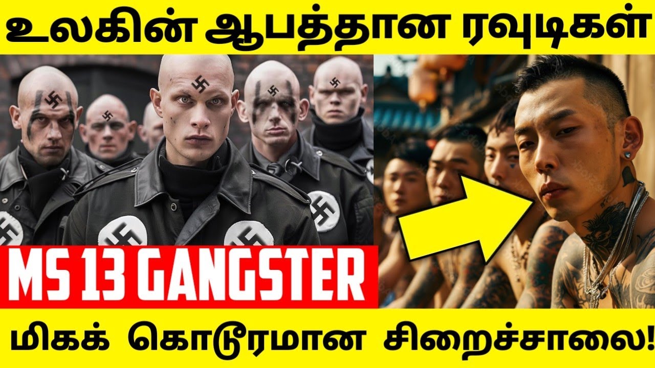 America - வின் ஆபத்தான ரவுடி குடும்பம்!😱 | Most Dangerous Gangster MS 13 Gang | sekar vision