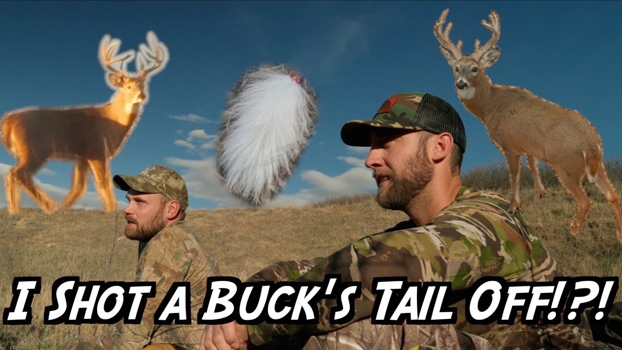 I Shot A Buck’s Tail Off!?!? | All of our Deer Hunting 2022 Buck Encounters