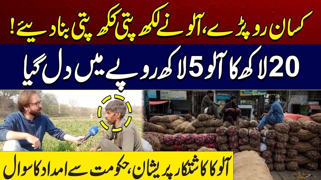 From Riches to Ruin: Potato Farmers Face Massive Loss | City 41