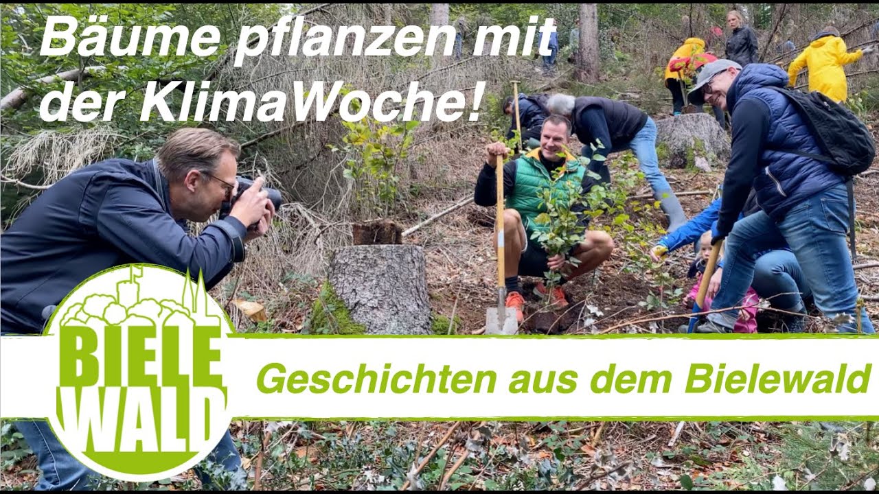 B&auml;ume pflanzen mit der KlimaWoche!