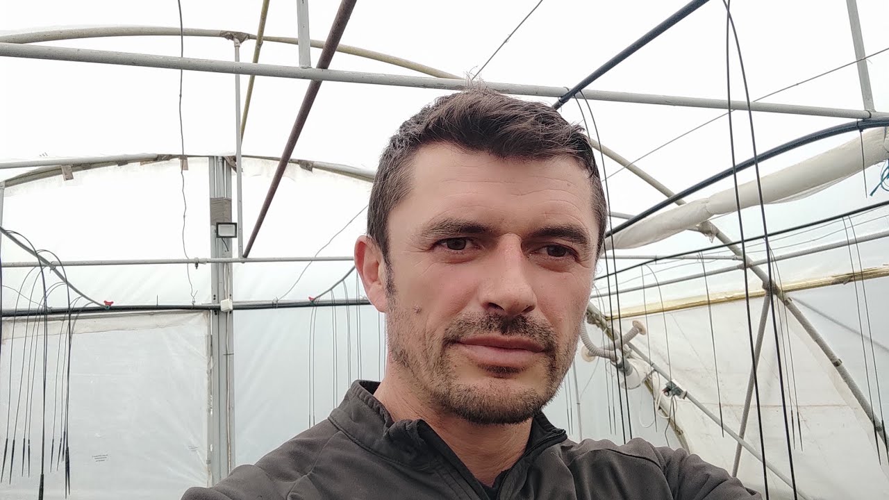 Pregătesc spațiul pentru repicat